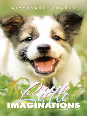 cover image of Little Imaginations